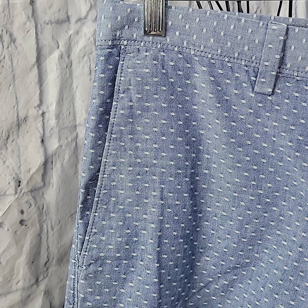 Banana Republic Blue Patterned Men's Flat Front Shorts‎